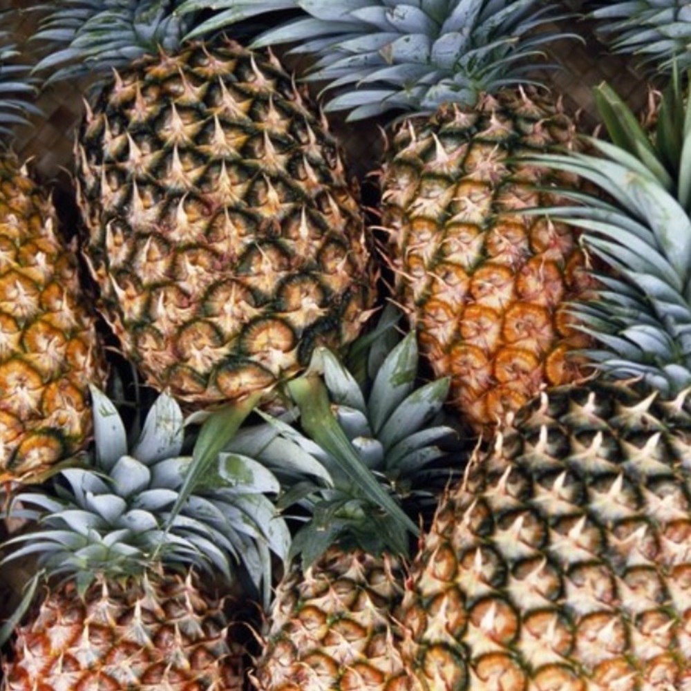 Meet your Posher, Gia